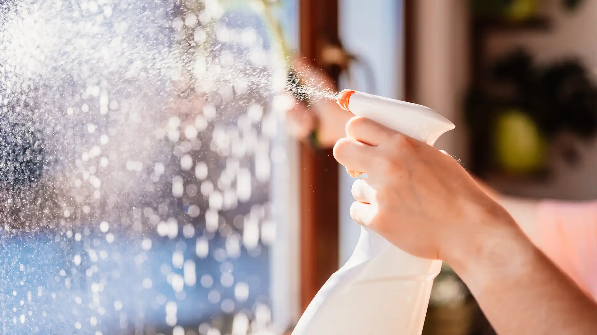 San Diego housekeeping services